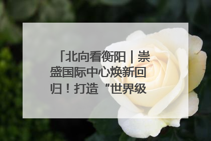 北向看衡阳｜崇盛国际中心焕新回归！打造“世界级美食主题公园”