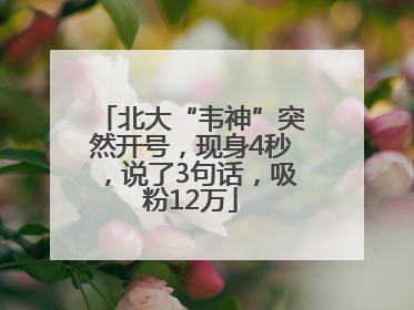 北大“韦神”突然开号，现身4秒，说了3句话，吸粉12万