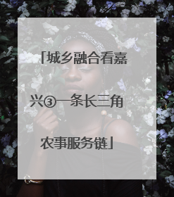 城乡融合看嘉兴③一条长三角农事服务链