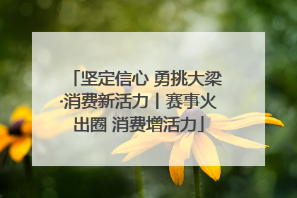 坚定信心 勇挑大梁·消费新活力丨赛事火出圈 消费增活力