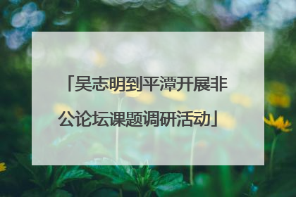 吴志明到平潭开展非公论坛课题调研活动
