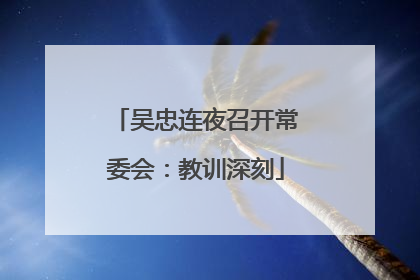 吴忠连夜召开常委会：教训深刻