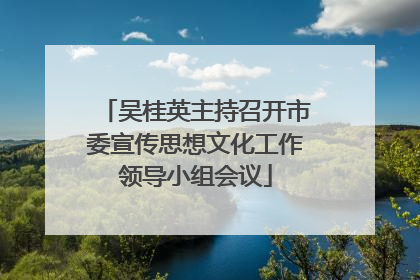 吴桂英主持召开市委宣传思想文化工作领导小组会议