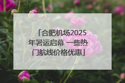 合肥机场2025年暑运启幕 一些热门航线价格优惠