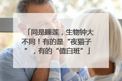 同是睡莲，生物钟大不同！有的是“夜猫子”，有的“值白班”