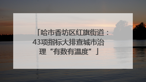 哈市香坊区红旗街道：43项指标大排查城市治理“有数有温度”