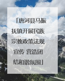 唐河县马振抚镇开展民族宗教政策法规宣传 营造团结和谐氛围