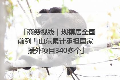 商务视线｜规模居全国前列！山东累计承担国家援外项目340多个