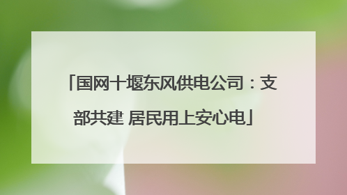 国网十堰东风供电公司：支部共建 居民用上安心电