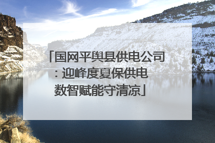 国网平舆县供电公司：迎峰度夏保供电  数智赋能守清凉
