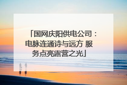 国网庆阳供电公司：电脉连通诗与远方 服务点亮露营之光