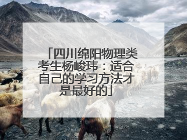 四川绵阳物理类考生杨峻玮：适合自己的学习方法才是最好的