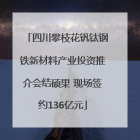 四川攀枝花钒钛钢铁新材料产业投资推介会结硕果 现场签约136亿元