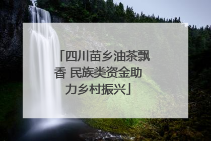 四川苗乡油茶飘香 民族类资金助力乡村振兴