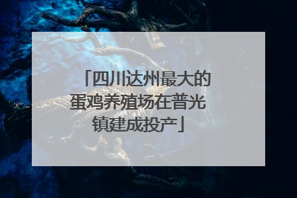 四川达州最大的蛋鸡养殖场在普光镇建成投产