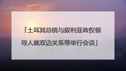 土耳其总统与叙利亚政权领导人就双边关系等举行会谈