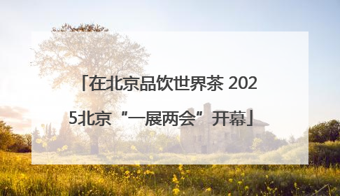 在北京品饮世界茶 2025北京“一展两会”开幕