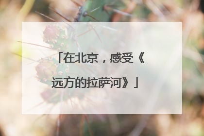 在北京，感受《远方的拉萨河》