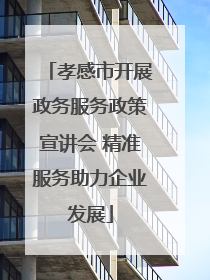 孝感市开展政务服务政策宣讲会 精准服务助力企业发展