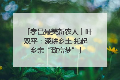 孝昌最美新农人丨叶双平：深耕乡土 托起乡亲“致富梦”