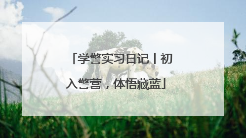 学警实习日记丨初入警营，体悟藏蓝