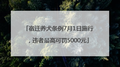 宿迁养犬条例7月1日施行，违者最高可罚5000元