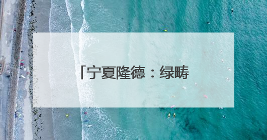 宁夏隆德：绿畴千里展画卷 药香四溢产业兴