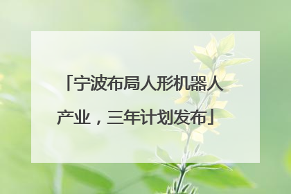 宁波布局人形机器人产业，三年计划发布