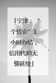 宁津：“个转企”1小时办结，信用代码无缝延续