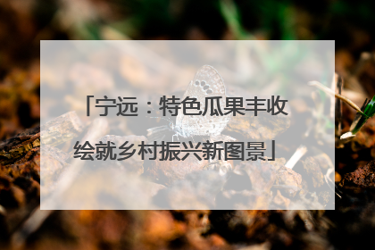 宁远：特色瓜果丰收绘就乡村振兴新图景