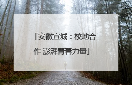 安徽宣城：校地合作 澎湃青春力量