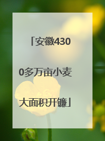 安徽4300多万亩小麦大面积开镰