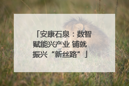 安康石泉：数智赋能兴产业 铺就振兴“新丝路”
