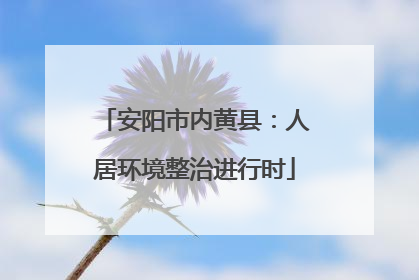 安阳市内黄县：人居环境整治进行时