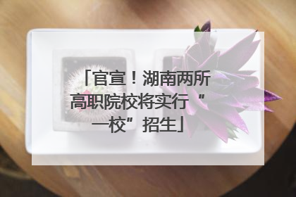 官宣！湖南两所高职院校将实行“一校”招生