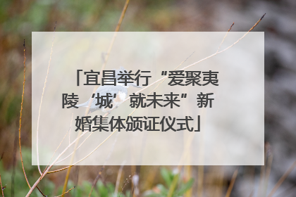 宜昌举行“爱聚夷陵‘城’就未来”新婚集体颁证仪式