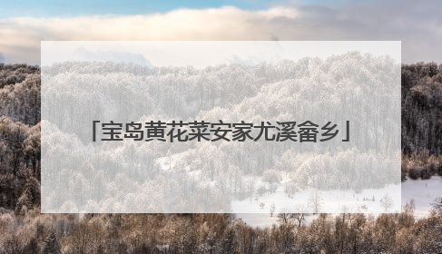 宝岛黄花菜安家尤溪畲乡