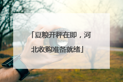 夏粮开秤在即，河北收购准备就绪