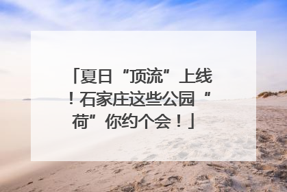 夏日“顶流”上线！石家庄这些公园“荷”你约个会！