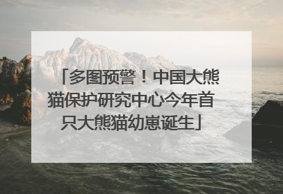多图预警！中国大熊猫保护研究中心今年首只大熊猫幼崽诞生