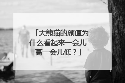 大熊猫的颜值为什么看起来一会儿高一会儿低？