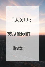 大关县：黄瓜触网销路宽