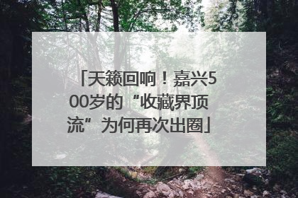 天籁回响！嘉兴500岁的“收藏界顶流”为何再次出圈