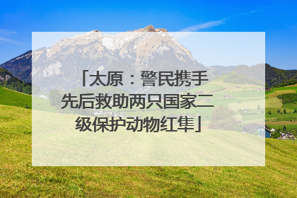 太原：警民携手 先后救助两只国家二级保护动物红隼