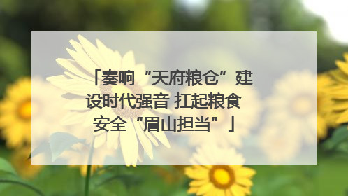奏响“天府粮仓”建设时代强音 扛起粮食安全“眉山担当”