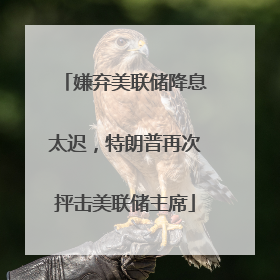 嫌弃美联储降息太迟，特朗普再次抨击美联储主席