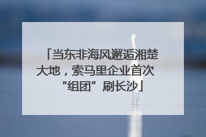 当东非海风邂逅湘楚大地，索马里企业首次“组团”刷长沙