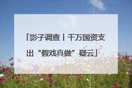 影子调查丨千万国资支出“假戏真做”疑云