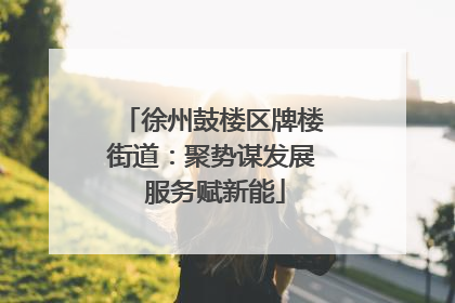 徐州鼓楼区牌楼街道：聚势谋发展 服务赋新能