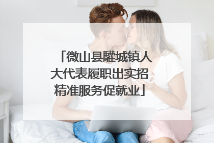 微山县驩城镇人大代表履职出实招精准服务促就业